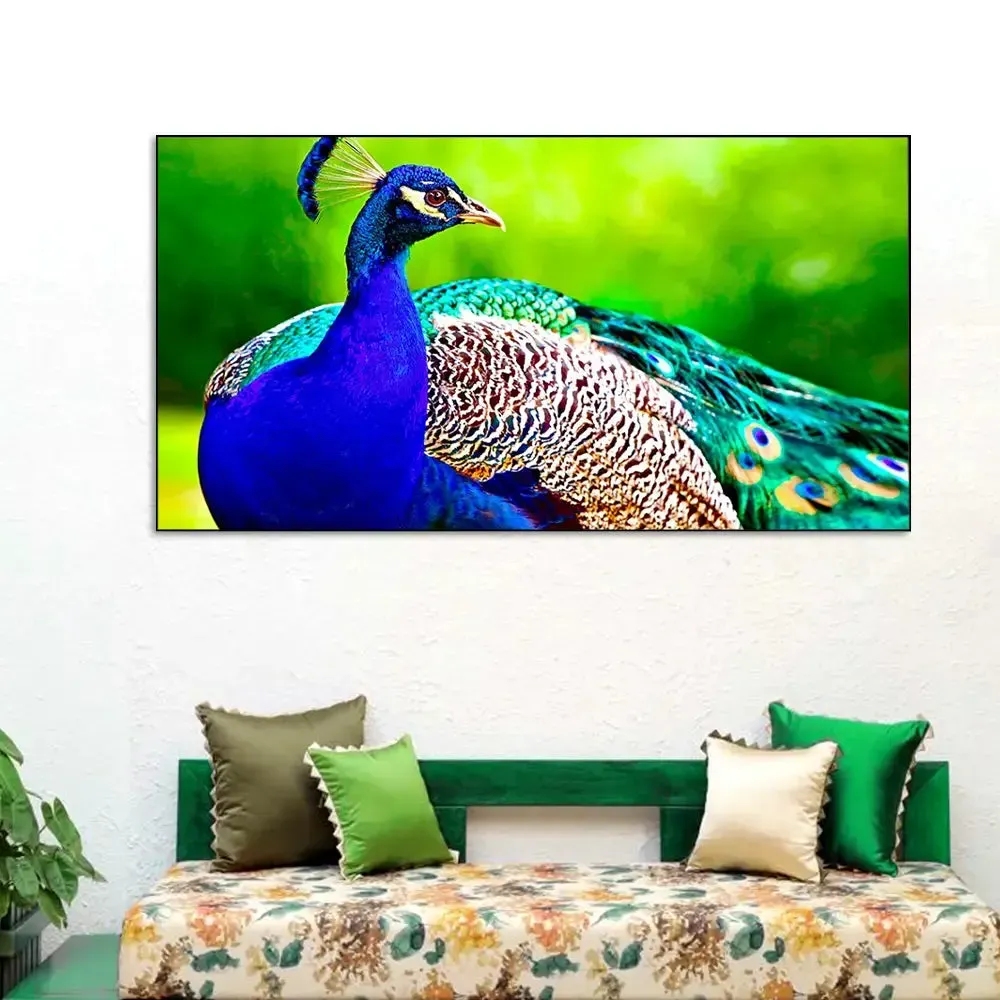 Beautiful Peacock Big Panoramic Canvas Wall Painting